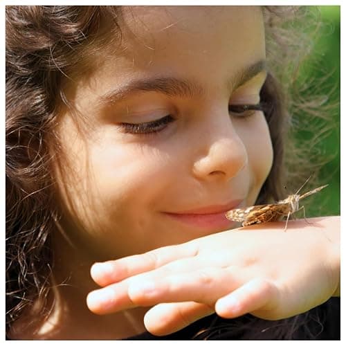 Insect Lore Raise and Release Butterfly Garden Kit – Caterpillar Habitat with redeemable Voucher – STEM-accredited Butterfly Growing Kit for Kids, Classrooms, and Homeschool Learning thumbnail 11