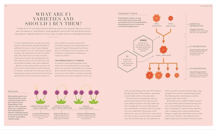 The Science of Gardening: Discover How Your Garden Really Grows thumbnail 6