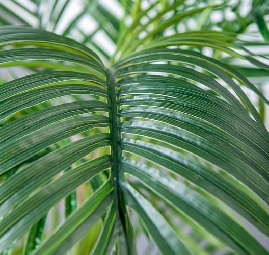 HAIHONG 6FT Artificial Palm Tree,Faux Areca Palm Plant with Real Touch Leaves and Adjustable Branches,Fake Tropical Palm Tree for Home Office Indoor Outdoor Modern Decoration thumbnail 4