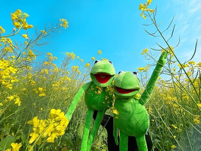 Kermit Frog Puppet, The Muppets Show, Soft Hand Frog Stuffed Plush Toy, Christmas Birthday Gift Ideas for Boys and Girls- 24 Inches thumbnail 9