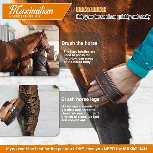 MAXIMILIAN World Class Handmade Equine Stiff Body Horse Brush. Professional Equine Grooming Tools. Effortlessly Removes Mud, Sweat and Dirt from Your Horses Hair. thumbnail 4