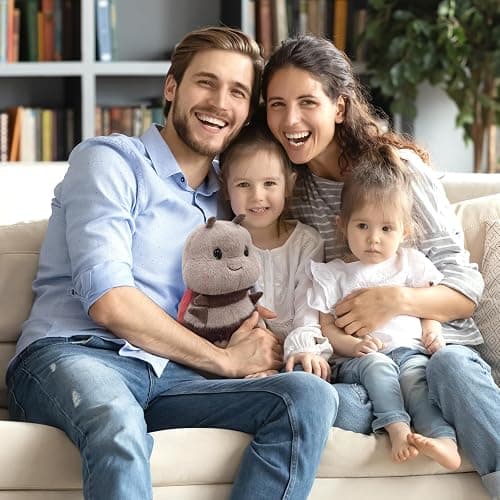 RHHSSE Chubby Smiling Ladybug Plush, Lucky Soft Seven-Spotted Ladybug Plush Toy, Cute Insect Stuffed Animal, The Best Gift for Child and Partners(8 inch) thumbnail 8
