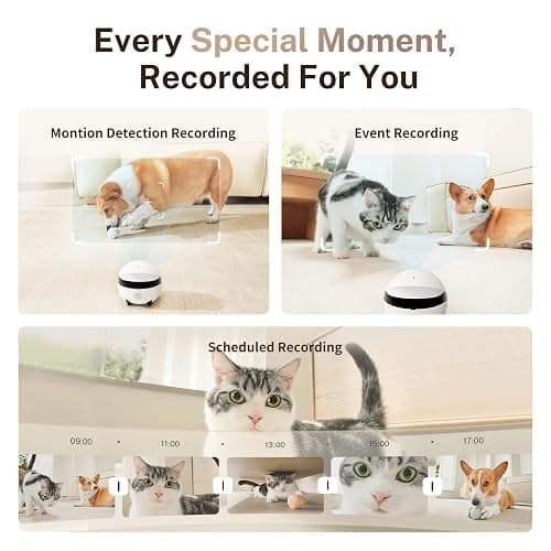 Enabot EBO ROLA Mini FamilyBot 2K Pet Camera Robot: Movable Indoor Camera Battery-Powered with Phone App, One-Touch Call, 2-Way Talk, Night Vision, Motion Detection, Video Recording thumbnail 8