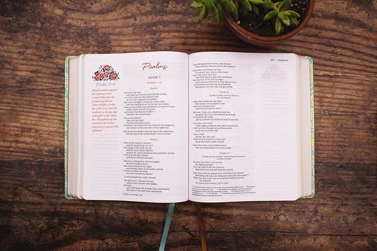 NIV, Journal the Word Bible for Women (Perfect for Note-Taking), Leathersoft, Teal, Red Letter, Comfort Print: 500+ Prompts to Encourage Journaling and Reflection thumbnail 11