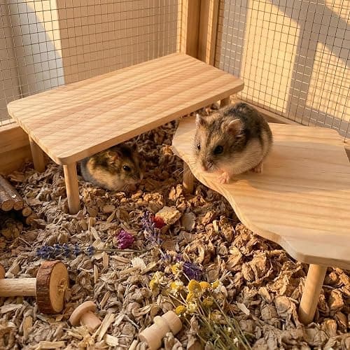 Hamster Platforms, 2 Pcs Wooden Hamster Stand and Table, Modular Playground & Hide for Hamster Cage Accessories for Dwarf Syrian Hamsters Gerbils Mice Degus Small Pets thumbnail 2