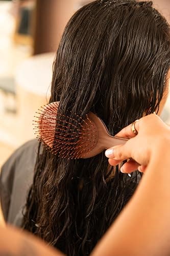 FRAMAR Chocolate Detangling Hair Brush thumbnail 3