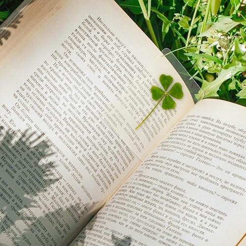 Real Four Leaf Clover Bookmark, Elegant 4 Leaf Clover Charm, Perfect Gift for Book Lovers, Preserved Four Leaf Clover in Laminated Bookmark (2pack) Made in Korea thumbnail 4