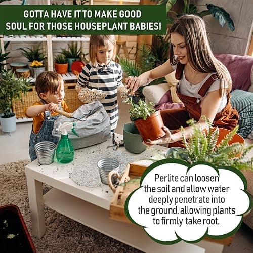 10QT Horticultural Perlite Bulk, Organic Perlite for Plants, Course Perlite for Gardening, for Plants Indoor, for Houseplants, to Promotes Soil Root Growth, and Water Drainage and Plant Growth(3-6mm) thumbnail 3