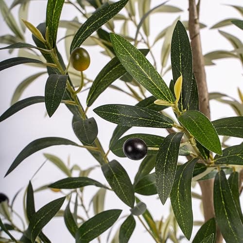 REIMUCO Fake Olive Tree - 6FT Fake Plants Indoor with Pot, Artificial Tree with Natural Olive Branches and Realistic Leaves, Silk Faux Trees for Modern Home Living Room Office Decor thumbnail 5