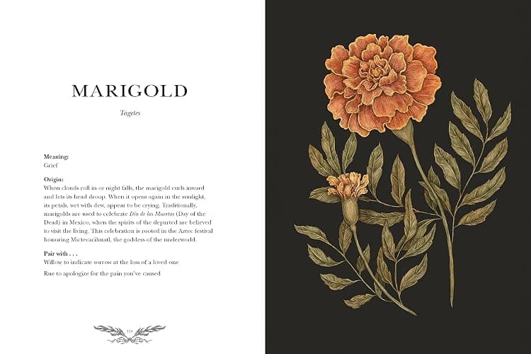 Floriography: An Illustrated Guide to the Victorian Language of Flowers (Volume 1) (Hidden Languages) thumbnail 5