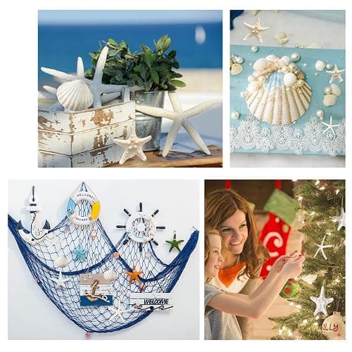 JQAQJU 3-4 Inches Large Starfish and Scallop Shells for Crafts 12PCS, Natural Beach Sea Shells for Crafting, Baking Shells Perfect for White Christmas Decor Beach Party Wedding Fishtank DIY Crafts thumbnail 5