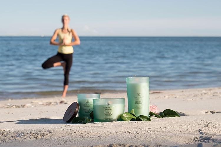 Chesapeake Bay Balance + Harmony Scented Candle Water Lily Pear Fragrance 50 Hours Burn Time Warm & Decorative Soy Wax Blend thumbnail 7