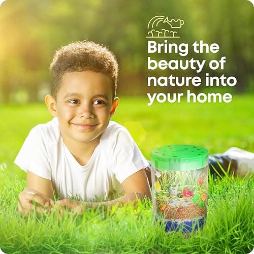 Dan&Darci Light-Up Terrarium Kit for Kids - STEM Science Kit - Educational DIY Toy for Boys & Girls - Birthday Craft Project Idea for Ages 6 7 8 9 10 11 12 Year Old thumbnail 8