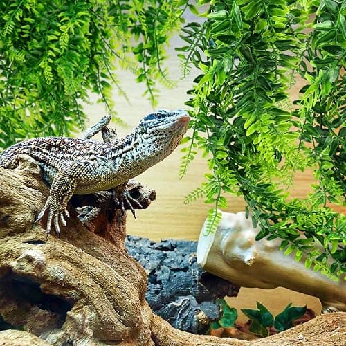 QUOZUO 2 Pack Reptile Plants Terrarium Hanging Plant Artificial Leaves Reptile Hide with Suction Cup, Reptile Tank Accessories for Bearded Dragon Lizard Snake Geckos Chameleon thumbnail 7