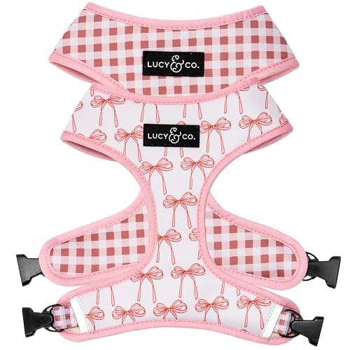Lucy & Co. Cute Reversible Dog Harness Walking Halter - Best Designer Pet Harnesses for XS - XL Dogs - Padded Adjustable Vest for Easy Walking (X-Small, Ballet Bows - White & Pink Bows) - Image 1
