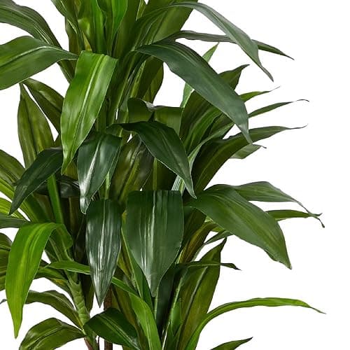 Nearly Natural 48in Dracaena Silk Plant (Real Touch) Green thumbnail 9