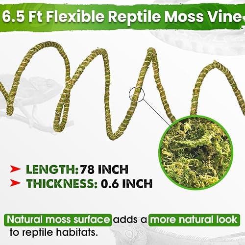 Duspro 6.5FT Reptile Vine & Moss Set for Climbing Bendable Branch, Natural Moss Rope Jungle Decor for Bearded Dragon, Chameleon Tank Accessories, Snake Gecko Lizard Terrarium thumbnail 3