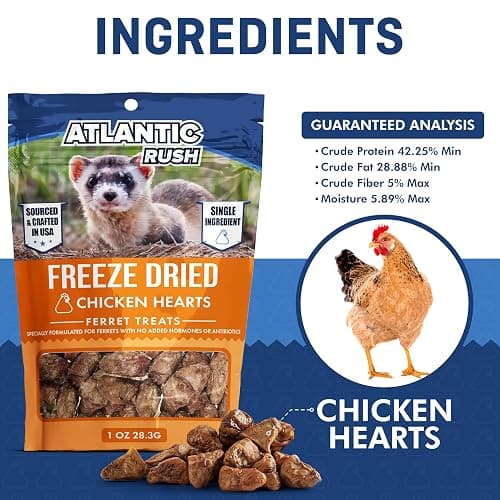 Freeze Dried Small Pet Treats - Resealable Bag of Treats for Ferrets - Ferret Snacks - Single Ingredient Ferret Food With No Preservatives Or Fillers- Small Animals Treats (1oz, chicken Heart) thumbnail 4