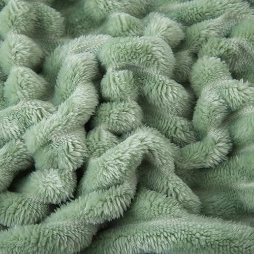 Linecooo Sage Green Fleece Throw Blanket 50”×60” for Couch Sofa Livingroom | Super Soft Cozy Plush Microfiber Flannel Bed Blanket Striped Design Lightweight Home Decor Gifts for Adults Mom Women thumbnail 6