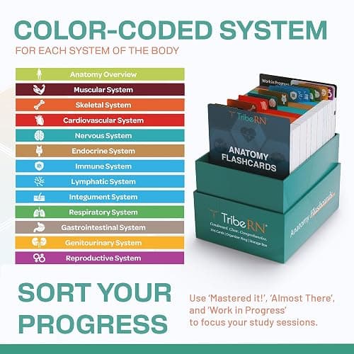 TribeRN Anatomy and Physiology Flash Cards – 320 Study Resources for Students – Human Anatomy & Physiology Study Tools – Medical, Nursing School Essentials – Durable & Easy to Use Flashcards thumbnail 3