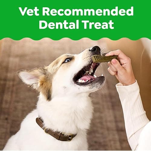 Greenies Veterinarian-Recommended Adult Natural Dental Dog Treats Large Size, Dog Dental Chews, Original Flavor, 54 oz. Pack, 34 Count thumbnail 2