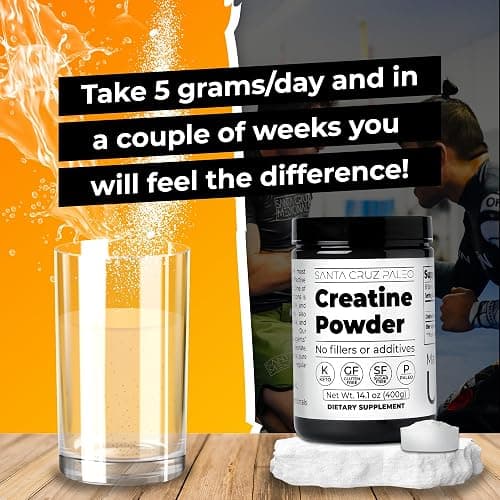 Santa Cruz Paleo, Creatine Monohydrate Powder Micronized, Unflavored Pre Workout and Muscle Support Supplement, Gluten Free Keto, Mix with Water or Shakes, No Fillers or Additives, 80 Servings, 400g thumbnail 3