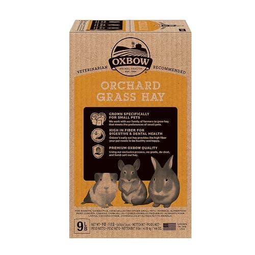 Oxbow Animal Health Orchard Grass, Guinea Pig Hay, Rabbit Hay, Small Pet Bunny Supplies, All Natural Grass for Guinea Pig, Bunny, Chinchilla & Hamster, Oxbow Rabbit Supplies for Bunnies, 9 lb. box thumbnail 7