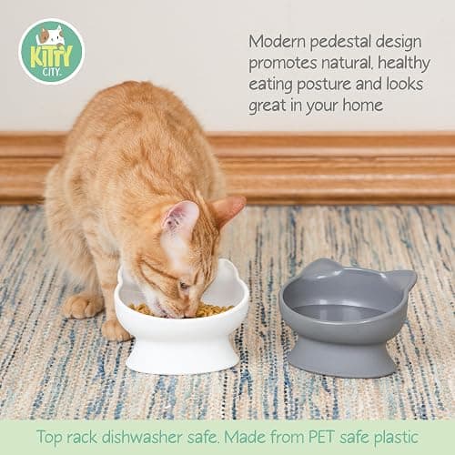 Kitty City Raised Cat Ear Bowls, Small Bowls 2pk (Modern) thumbnail 2