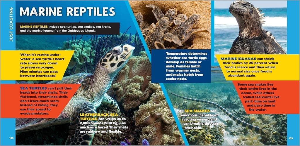 The Fascinating Ocean Book for Kids: 500 Incredible Facts! (Fascinating Facts) thumbnail 5