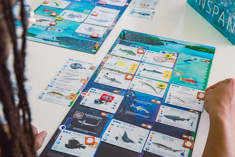Finspan board game thumbnail 9