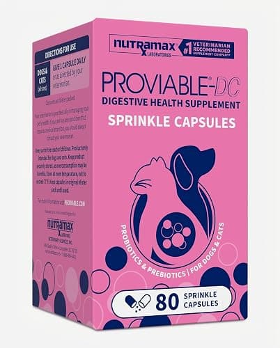 Nutramax Proviable Probiotics + Prebiotics, for Dogs & Cats, Capsules, 80ct | Probiotics and Prebiotics for Cats and Dogs, Daily Gut Health Support Supplement, Multiple Strains, Sprinkle on Food thumbnail 12
