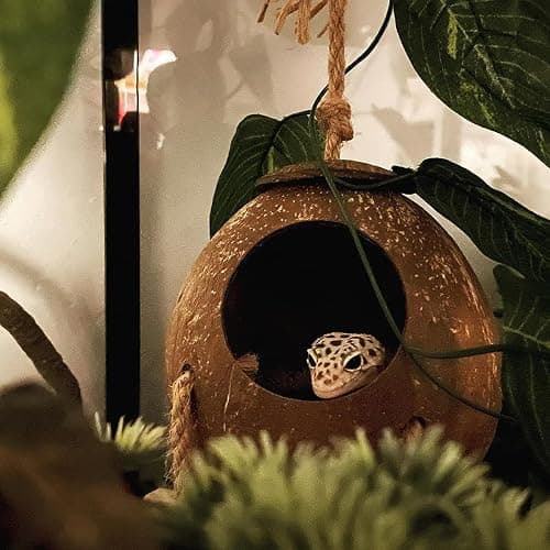 MUYG Crested Gecko Coconut Hut with Ladder,Bearded Dragon Coco Den Reptile Shell Hideout Husk Hut Climbing Plants Leaves Tank Accessories for Lizard Chameleon Snakes thumbnail 2