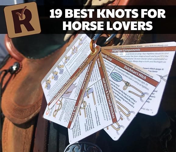 ReferenceReady Horse Knot Cards – Pocket Guide to 19 Pack and Trail Riding Knots - Horse Stuff for Girls and Boys thumbnail 7