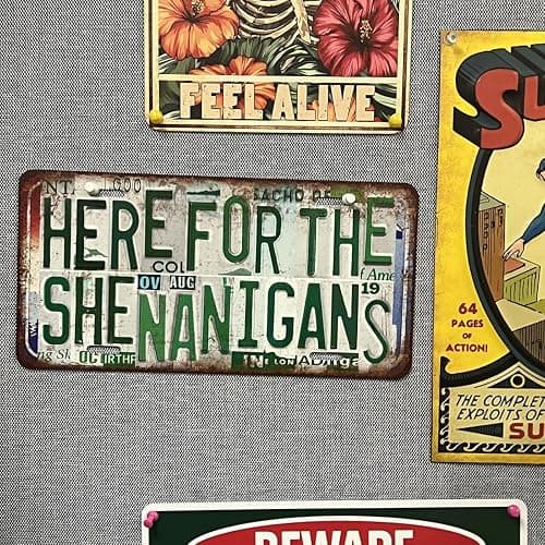 JBYMsign Vintage Wall Decor Please Do Not Lick The Walls License Plate Bar Metal Sign Tin Signs Poster thumbnail 5