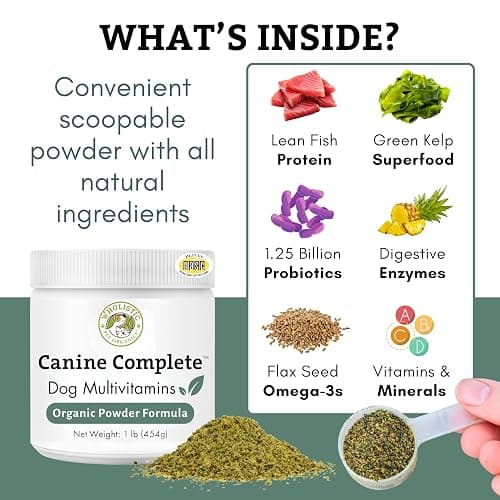 Organic Dog Vitamins | 1 Lb | 45 Scoops | Daily Dog Multivitamin with Prebiotics, Probiotics for Immune Support, Skin Coat, Digestion, & Joint Health | Canine Complete thumbnail 3