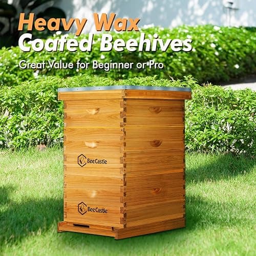 BeeCastle 10 Frame Langstroth Bee Hive Coated with Beeswax Includes Beehive Frames and Waxed Foundations (2 Deep Boxes & 1 Medium Box) thumbnail 6