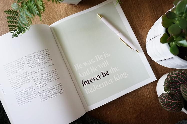 30 Days with Jesus Bible Study Guide: Experiencing His Presence throughout the Old and New Testaments thumbnail 5