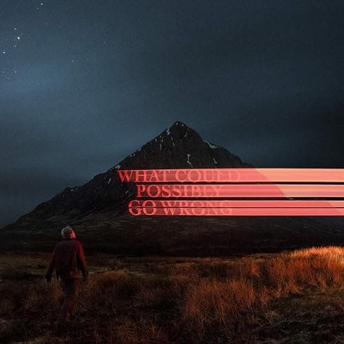 What Could Possibly Go Wrong vinyl - Image 1