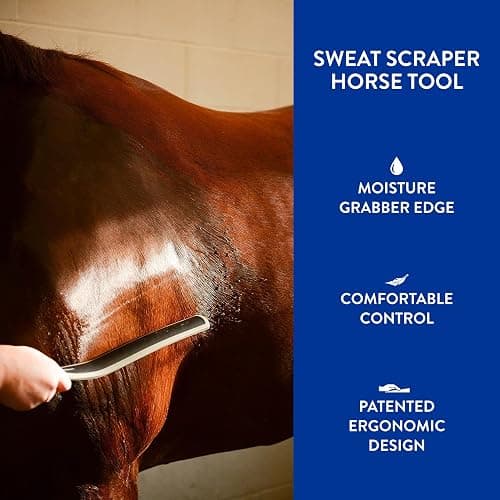 WAHL Professional Animal Equine Grooming Sweat Scraper Horse Tool - Black thumbnail 4