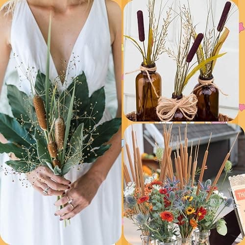 Dried Natural Brown Cattails Flowers - 20PCS Real Broadleaf Pencil Cattail Stems Bundles, 17'' Bulrush Plants Dry Flower for DIY Floral Arrangements, Wedding Home Office Gardens Decor thumbnail 6