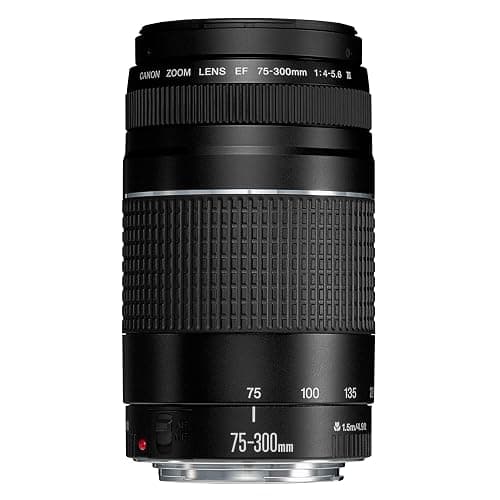 Canon EF 75-300mm F4.0-5.6 III Zoomobjektiv (58mm Filtergewinde) schwarz thumbnail 2