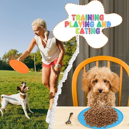 Vinsot 28 Pcs Flying Discs Bulk Flying Discs for Kids Soft Rubber Flyer Disk Dog Toys Game Outdoor for Children Adults Sports Favors, 7 Colors thumbnail 5
