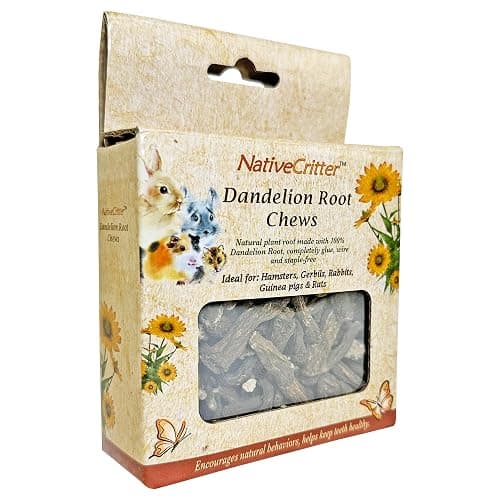 Exotic Nutrition Dandelion Root - Fun & Unique Chew for Hamsters, Gerbils, Rabbits, Guinea Pigs, Prairie Dogs, Chinchillas, Degus, Squirrels, Rats and Other Chewing Small Animals - Image 1