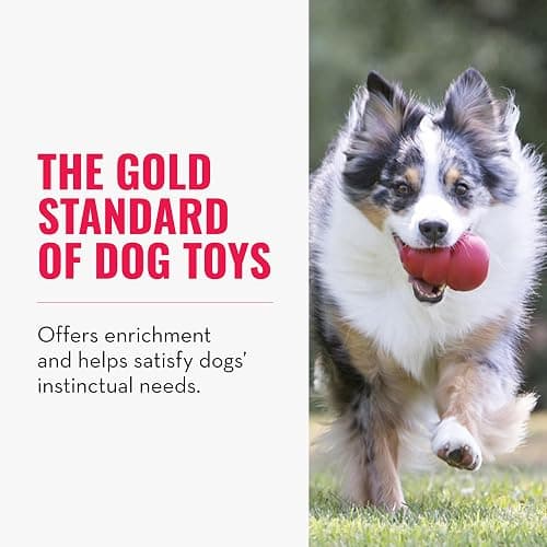 KONG Classic Stuffable Dog Toy - Fetch & Chew Toy for Dogs - Treat-Filling Capabilities & Erratic Bounce for Extended Play Time - Durable Natural Rubber Material - for Small Dogs thumbnail 4