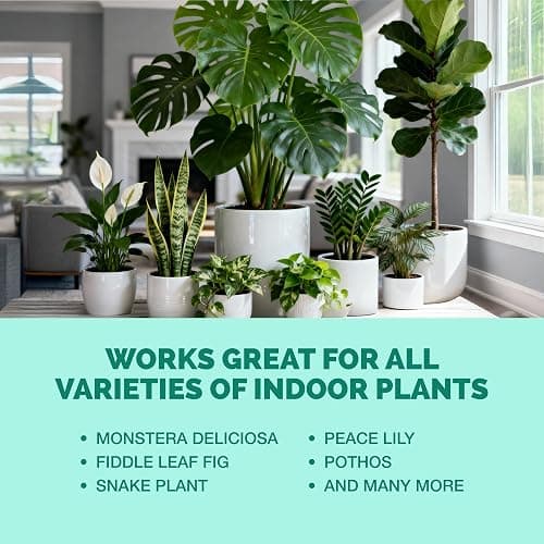 Indoor Plant Food, Complete Liquid Fertilizer for Houseplants, 8oz | Encourages New Growth, Kelp-Enriched Formula, Liquid Concentrate, Gentle for Weekly Feeding, All Indoor Plant Varieties thumbnail 6