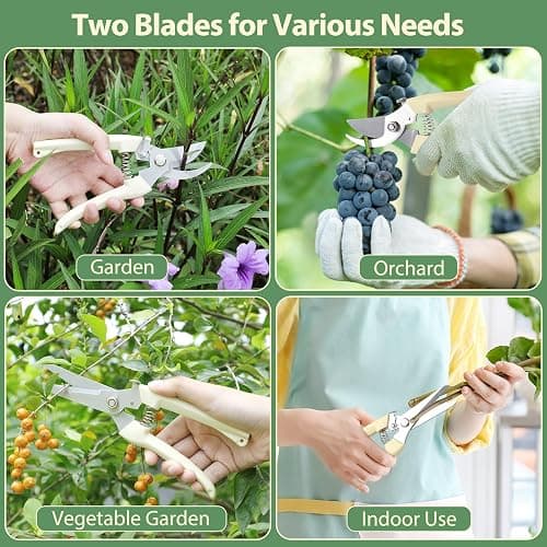 4PACK Pruning Shears, Stainless Steel Garden Shears, Sharp Handhled Gardening Scissors, Bypass & Straight Blade Garden Clippers for Plants, Flowers, Fruits Trees, Gardening Gifts for Women & Men thumbnail 6