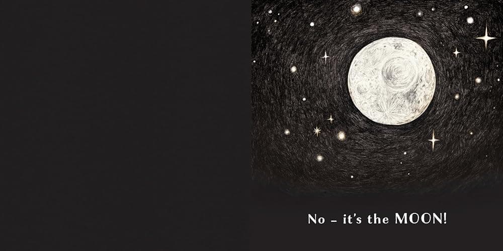 Is This a Plum?: An interactive, rhyming picture book with clever cut-through holes thumbnail 4