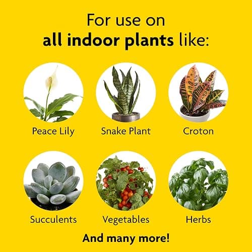 Miracle-Gro Indoor Plant Food, Liquid Plant Food for Houseplants, Snake Plants, Peace Lilies, Flowers, Vegetables, Herbs and More, 8 oz., 2-Pack thumbnail 4