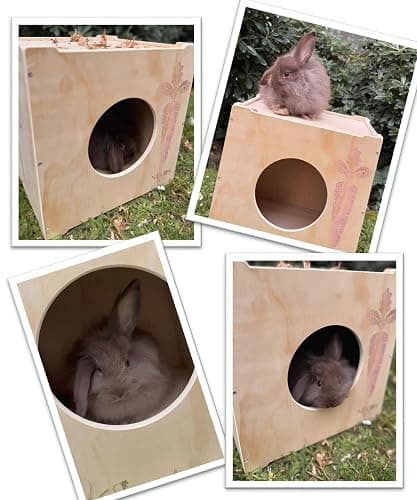 NIKOS PETS - Wooden Rabbit Hideout, Rabbit Bed, Indoor Hutch, Bunny House Pet for Bunnies, Guinea Pigs, Outdoor Shelter Hut, Small Animal Hideaway, Bunny Playground (12.5 x 12.5 in) thumbnail 7