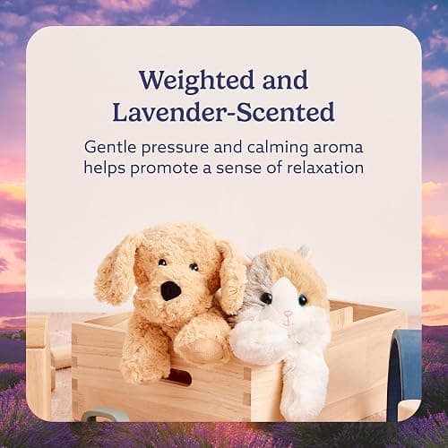 warmies Microwavable & Weighted Stuffed Animals, Golden Dog - Heated Stuffed Animal Plushie for Warmth & Comfort - Cute Soft Plush Toys for Boys, Girls, Babies & Toddlers thumbnail 3